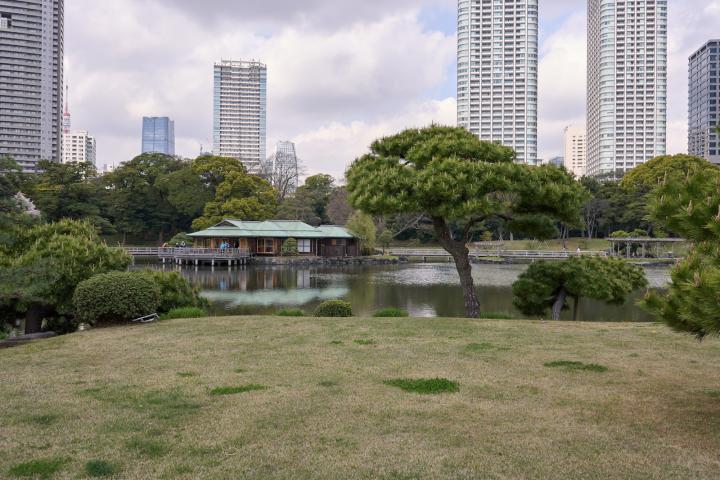 d2_hamarikyu.jpg